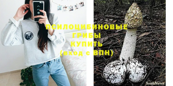 spice Балахна