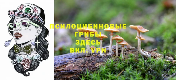 spice Балахна