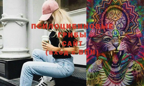 spice Балахна